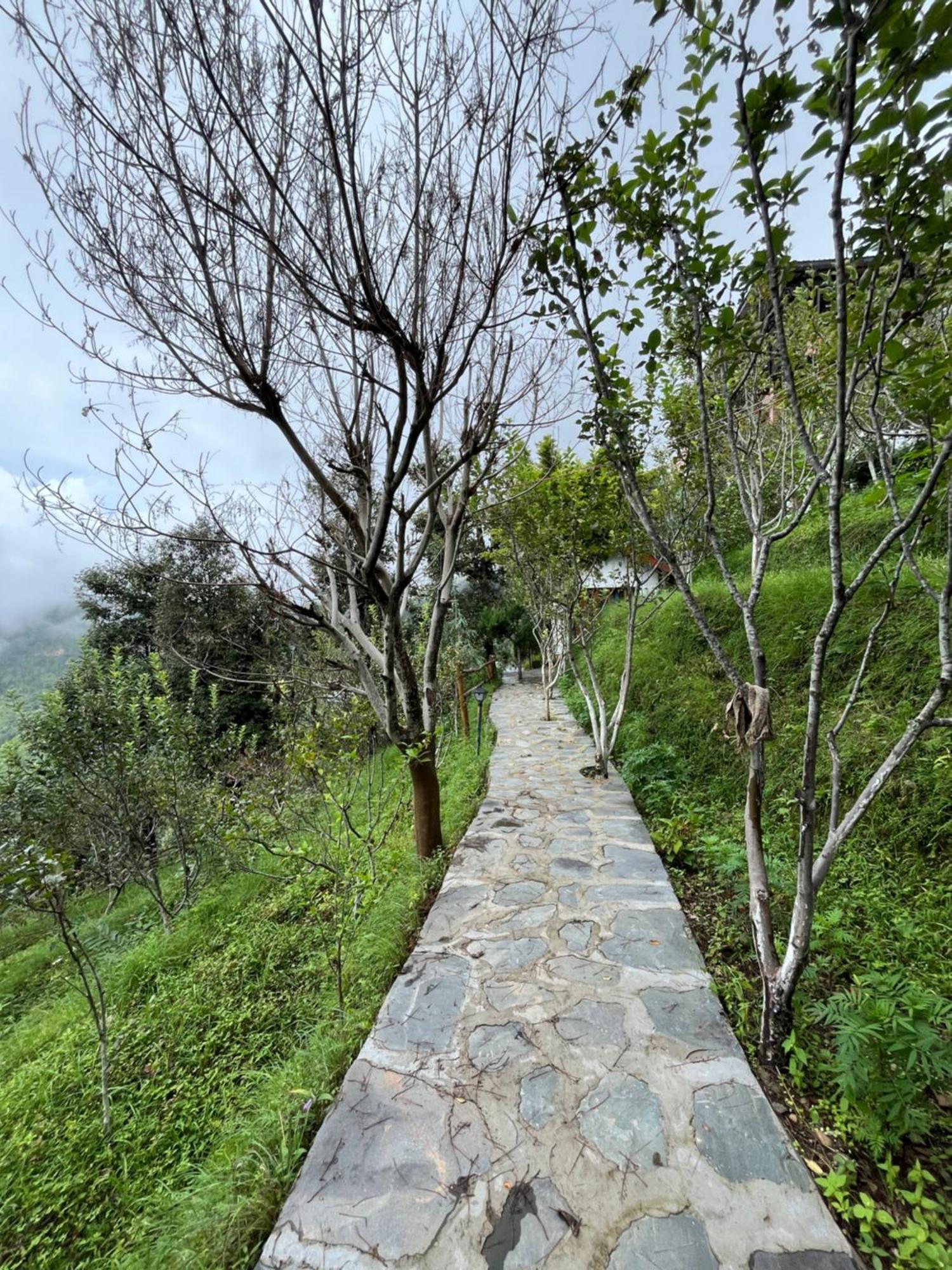 Apple Garden Cottages And Restaurant Dhanaulti Esterno foto